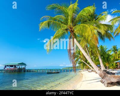 Seascape con palme tropicali sulla bellissima spiaggia di sabbia nell'isola di Phu Quoc, Vietnam. Si tratta di una delle migliori spiagge del Vietnam. Foto Stock