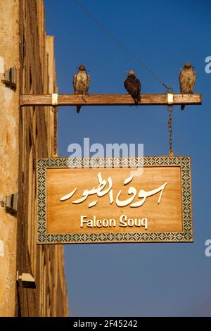 Il Qatar Doha, Falcon Souq Foto Stock