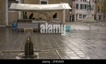 Vista sulla piazza di Venezia con stand per la vendita di pesce, fontana di acqua potabile e gabbiani sullo sfondo Foto Stock
