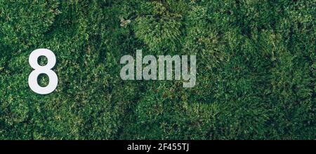 8 marzo. Buona giornata delle donne. Ecologia, zero sprechi. Erba verde e cifra otto 8. Biglietto di auguri per compleanno. Concetto di anniversario. Banner. Vista dall'alto. Bianco Foto Stock