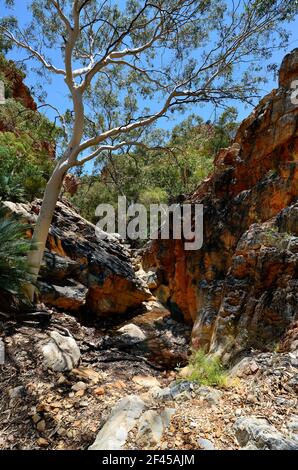 Australia, NT, Standley Chasm in McDonnell gamma parco nazionale Foto Stock