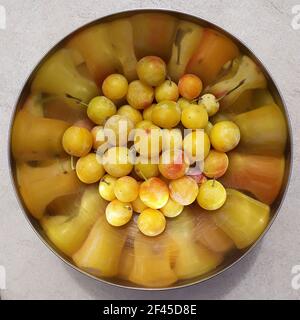 Prugne di mirabelle raccolte in una ciotola di metallo con riflessione, primo piano Foto Stock