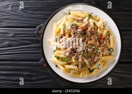 Penne con salsa napoletana la Genovese a base di cipolla lentamente cotta e primo piano di manzo, vino e verdure su un piatto sul tavolo. Orizzontale a. Foto Stock