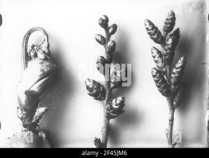 Chiusura dell'immagine in preparazione Gail Bush (Myrica Gale), infiorescenza Foto Stock