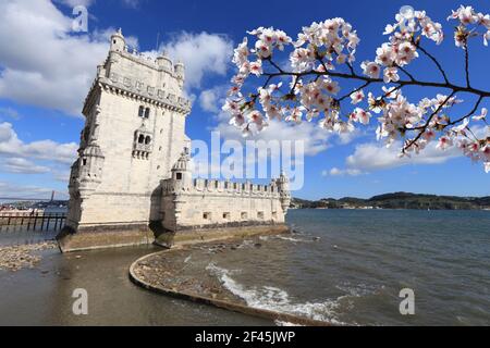 Primavera in Portogallo. Fioritura dei ciliegi in primavera a Lisbona, Portogallo. Torre di Belem. Foto Stock