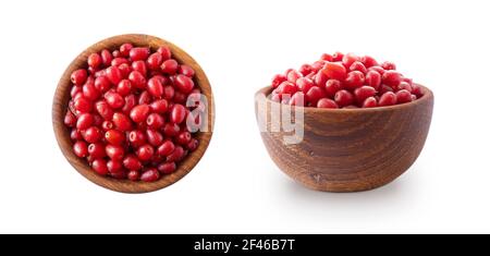Elaeagnus multiflora (Gumi, Gumi, Natsugumi, o mirtillo di ciliegia), è una specie di Elaeagnus originaria della Cina, della Corea e del Giappone. Mucchio di gumi berrie Foto Stock