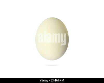 Uovo d'anatra singolo su sfondo bianco con tracciato di ritaglio. Vista frontale Foto Stock