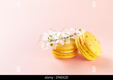 Due amaretti gialli e fiori in fiore di ciliegio primaverile su sfondo rosa pastello con spazio copia. Mockup di biglietto d'auguri con dolci torte macaron. Foto Stock