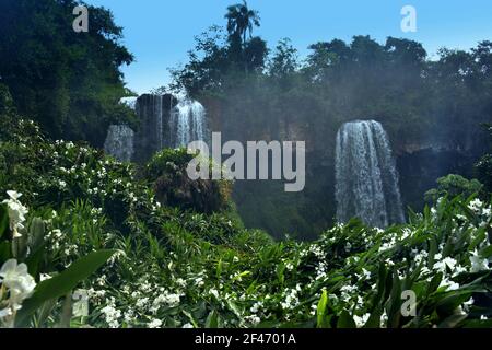 Le cascate di Iguazu si estendono per 2.7 km e includono centinaia di altre cascate. Intorno alle cascate si trova il Parco Nazionale di Iguazú, una foresta pluviale subtropicale Foto Stock