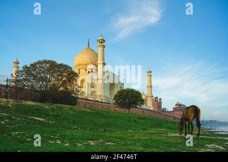 Taj Mahal, patrimonio mondiale dell'UNESCO, ad Agra, India al tramonto Foto Stock
