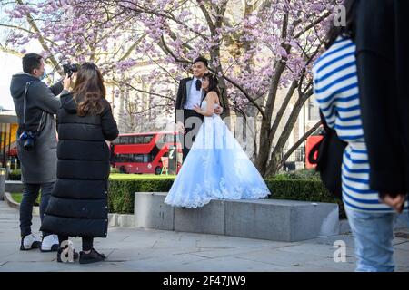 Londra, Regno Unito. 19 marzo 2021. Una coppia posa per le loro foto di nozze di fronte a alberi fioriti, di fronte alla Cattedrale di St Paul a Londra. Data immagine: Venerdì 19 marzo 2021. Il credito fotografico dovrebbe essere Credit: Matt Crossick/Alamy Live News Foto Stock