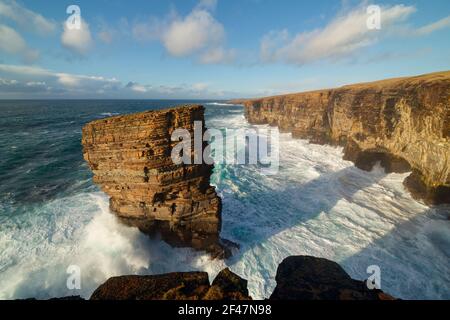 North Gaulton Sea stack. Isole Orcadi Foto Stock