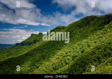 Serra de Lacers visto dal passo del Colle de Bracons in primavera (Garottxa, Catalogna, Spagna) Foto Stock