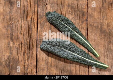 Nero toscano Kale - Brassica oleracea var Foto Stock