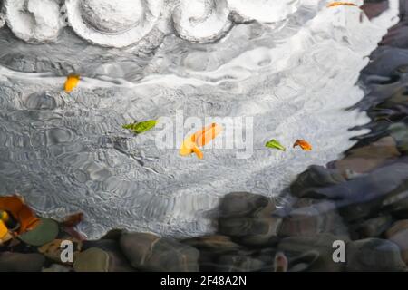 Piccole foglie colorate galleggianti sulla superficie increspata di una piccola fontana bianca con fondo roccioso nero. Foto Stock