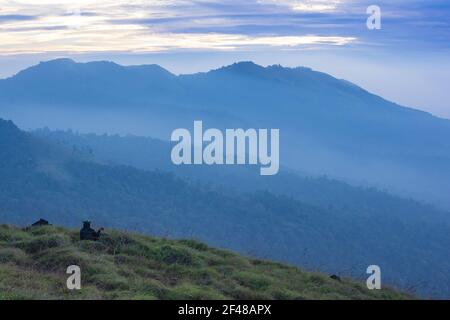 Una signora che gode della magnifica vista da una collina a Wayanad durante la mattina presto (immagine presa a Wayanad, Kerala) Foto Stock