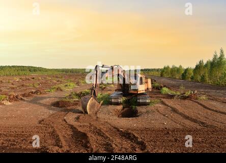 Scavatore scavare fossato di drenaggio nel sito di estrazione della torba. Drenaggio di torbiere e distruzione di alberi. Perforazione su palude per l'esplorazione petrolifera. Zona umida Foto Stock