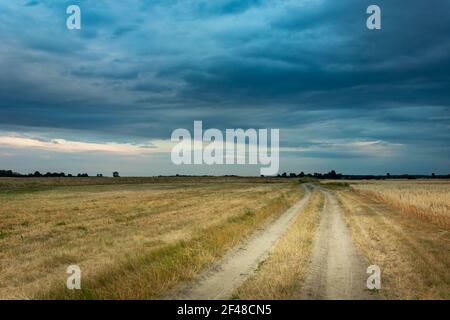 Strada di campagna attraverso i campi e le nuvole scure sera, Czulczyce, Lubelskie, Polonia Foto Stock