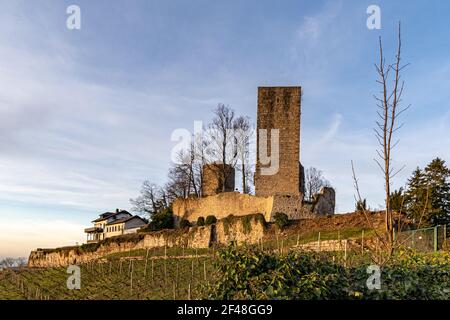 Un primo piano di rovine del castello di Windeck nella Foresta Nera, Germania Foto Stock
