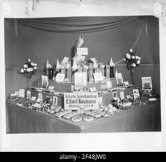 Promemoria della pubblicità floreale e vegetale. Plauen i. V., dal 29 settembre al 7 ottobre 1930 organizzato dal Vogtland Gärtnerverein. Stand di Erfurt Seeding C. Emil Baumann, Klostermarkt 8 Foto Stock