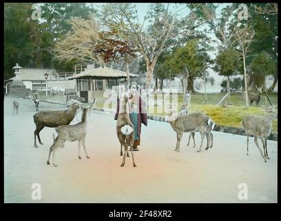 Chiusura dell'immagine in preparazione metabolismo primaverile Foto Stock