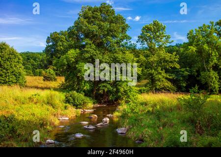 Cherry Creek scorre attraverso un prato selvaggio di fiori selvatici nativi E le erbe su una ex pensione da golf a Cherry Valley National Wildlife Refuge a Pennsyl Foto Stock