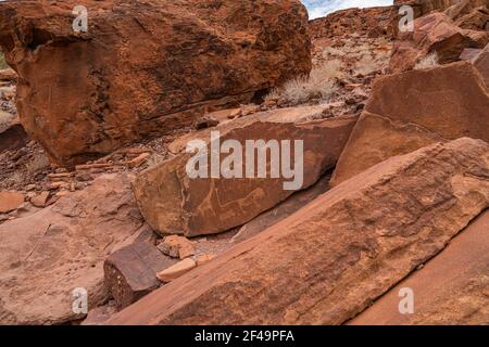 Incisioni preistoriche Boscimane, dipinti rupestri a Twyfelfontein, Namibia - piatto leone e altri animali e simboli su rocce Foto Stock