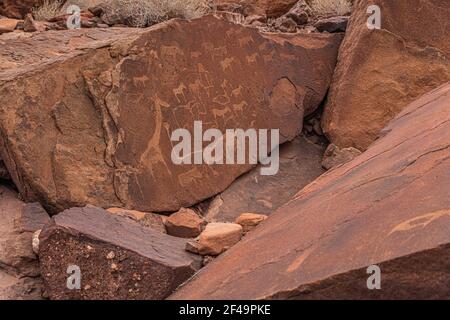 Incisioni preistoriche Boscimane, dipinti rupestri a Twyfelfontein, Namibia - piatto leone e altri animali e simboli su rocce Foto Stock