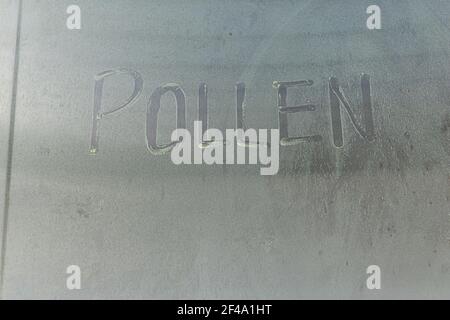 Una grande quantità di polline primaverile marzo fuori spolverando sopra un barbecue esterno in acciaio inossidabile Foto Stock