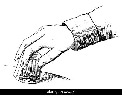 Fissare i faggi con un vetro. Illustrazione del 19 ° secolo. Germania. Sfondo bianco. Foto Stock