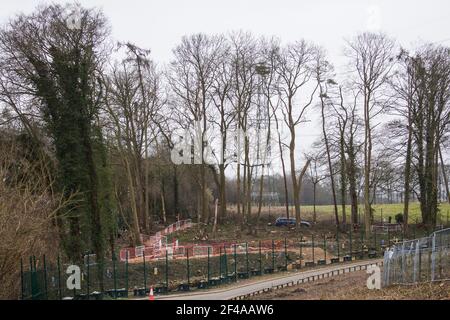 Wendover, Regno Unito. 18 marzo 2021. HS2 lavora per cadere terreno boscoso lungo Small Dean Lane. Notevoli lavori preparatori di questo tipo sono attualmente in corso tra il Grande Missenden e Wendover a nord della sezione della galleria di Chiltern del collegamento ferroviario ad alta velocità £106bn HS2. Credit: Mark Kerrison/Alamy Live News Foto Stock