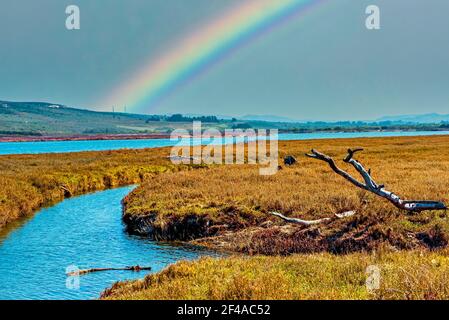 Fiumi blu che attraversano campi erbosi con arcobaleno luminoso sopra. Foto Stock