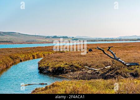 Fiumi e corsi d'acqua che attraversano campi erbosi con colline oltre. Foto Stock