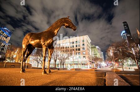 Calgary Alberta Canada, marzo 15 2021: Una statua a cavallo in piedi in una piazza del centro intorno ai punti di riferimento del centro e agli edifici degli uffici di notte sotto un dra Foto Stock