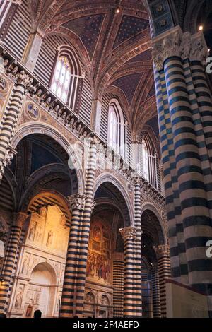 Siena, Italia. Cattedrale di Santa Maria Assunta. L'interno è costruito in marmo bianco e verdastro-nero a strisce alternate. Il orizzontale Foto Stock