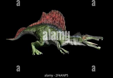 Illustrazione di spinosaurus aegyptiacus Foto Stock