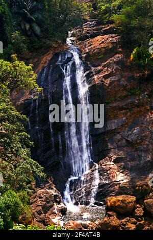 Foresta cascata torrente. Cascata in foresta profonda. Cascata fiume foresta scena Foto Stock