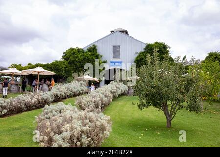 Regione vinicola di Mudgee, Lowe Famiglia vini vigneto e cantina porta degustazione di vini gruppi di persone, Mudgee, NSW, Australia Foto Stock