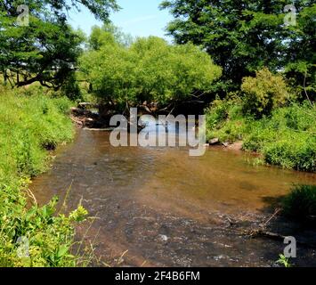 Il brevetto U. S. Dipartimento di Agricoltura ha selezionato tre aree di spartiacque, Conewago Creek in Pennsylvania (nella foto), Smith Creek in Virginia e la parte superiore del fiume Chester in Maryland come parte della Chesapeake Vetrina Progetto spartiacque. Il progetto di spartiacque utilizzerà il collettivo delle energie di federali, statali e i partner locali per aiutare i proprietari terrieri e europee utilizzano la loro terra in modi sostenibili che non danneggiano la qualità dell'acqua. Se questi bacini sono ripristinati correttamente possono diventare dei modelli per i sei Stati membri coinvolti nel ripristino della Chesapeake Bay. Conewago Creek watershed copre 33,606 acri Foto Stock