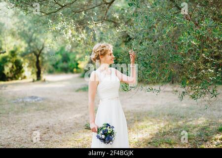 Una sposa tenera con un bouquet di fiori blu si erge da un olivo e tocca i rami con lei mano Foto Stock