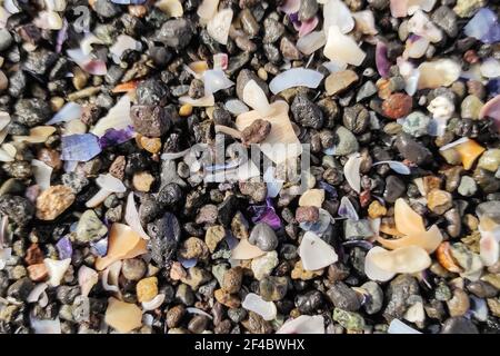 Texture di conchiglie spezzate multicolore e piccoli ciottoli sulla spiaggia. Immagine di sfondo. Foto Stock