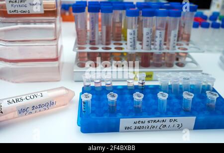 Ricerca di laboratorio nuovo ceppo di sars-COV-2 britannico scientificamente chiamato VOC 202012/01 (B.1.1.7), quadro concettuale Foto Stock