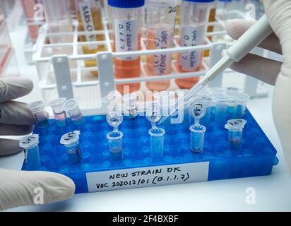 Ricerca di laboratorio nuovo ceppo di sars-COV-2 britannico scientificamente chiamato VOC 202012/01 (B.1.1.7), quadro concettuale Foto Stock
