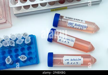 Ricerca di laboratorio nuovo ceppo di sars-COV-2 britannico scientificamente chiamato VOC 202012/01 (B.1.1.7), quadro concettuale Foto Stock