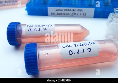 Ricerca di laboratorio nuovo ceppo di sars-COV-2 britannico scientificamente chiamato VOC 202012/01 (B.1.1.7), quadro concettuale Foto Stock