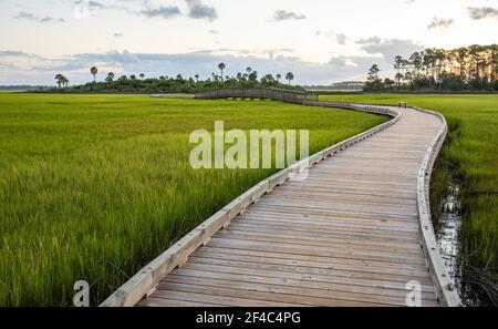 Alba sopra la palude di sale. Foto Stock