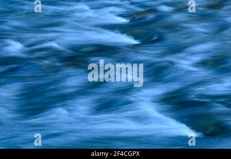 Fall Creek, Willamette National Forest, Cascade Mountains, Oregon. Foto Stock