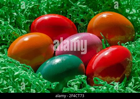 Uova di Pasqua disposte in nido di carta verde. Gruppo di uova di Paschal multicolore, uova di pollo sode tinte, poste in nido di carta di colore verde. Foto Stock