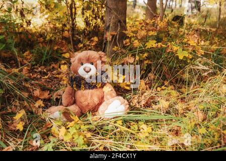 Un simpatico orsacchiotto vestito con una sciarpa soffice si siede nel parco forestale autunno Foto Stock