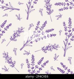Vintage motivo senza cuciture con fiori di lavanda. Ingredienti per la spa e l'aromaterapia. Sfondo vettoriale disegnato a mano Illustrazione Vettoriale